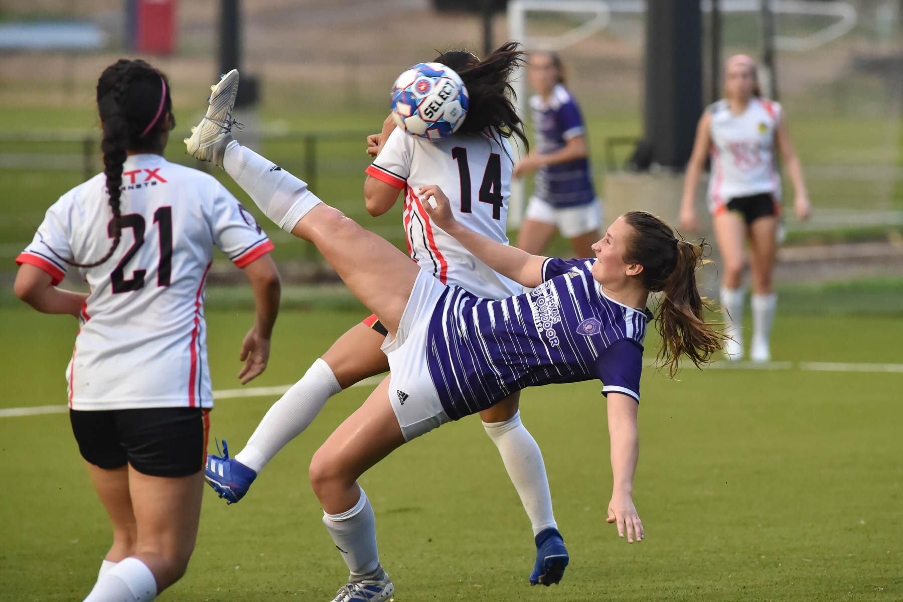 SA Athenians vs CTX Hornets_0699.jpg